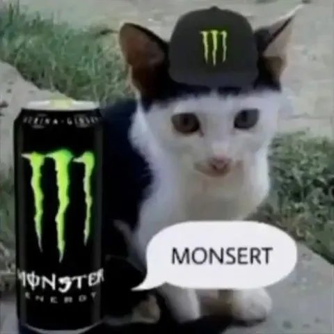 Cat Says Monsert
