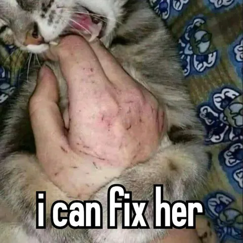 I Can Fix Her Cat