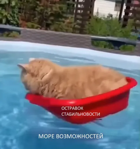Кот на островке стабильности