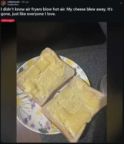 Air Fryer Blew Away My Cheese