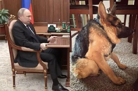 Путин и немецкая овчарка