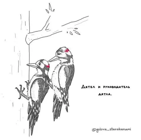 Дятел и руководитель дятла