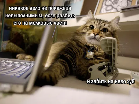 Разбить дело на мелкие части