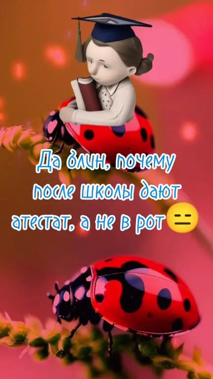 Почему после школы дают аттестат