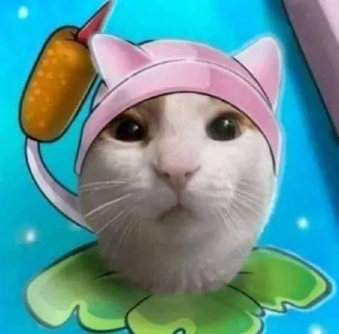 Котик в волшебной шапочке