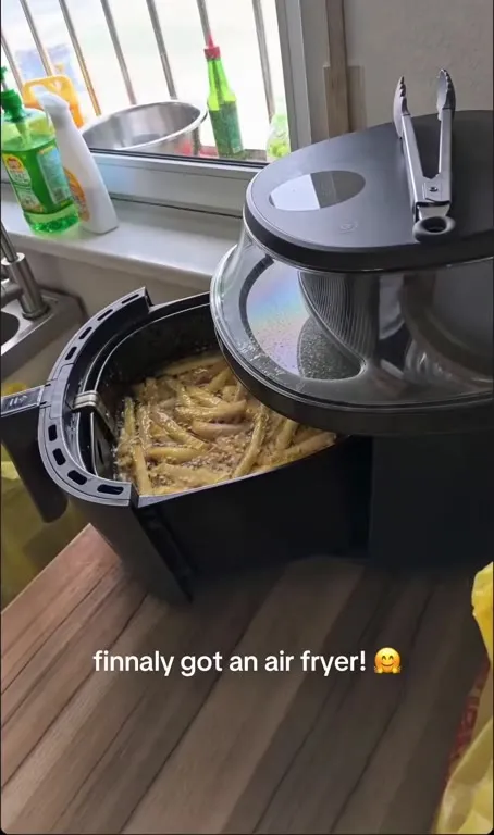 Finally Got an Air Fryer