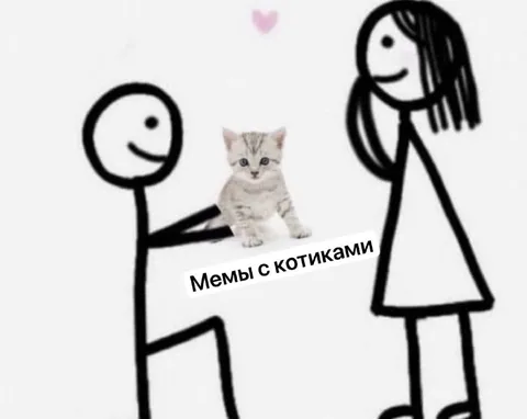 Мемы с котиками