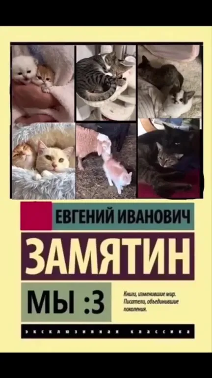 Котята, объединившие поколения