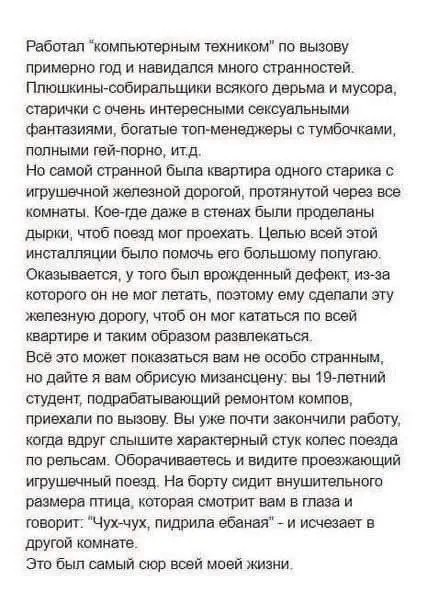 Попугай на игрушечной железной дороге