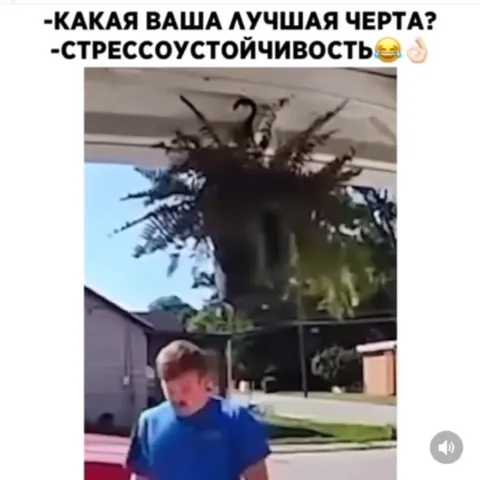 Стрессоустойчивость во всей красе