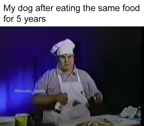 My Dog Eats the Same Food