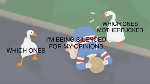 Silenced for My Opinions