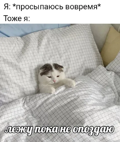 Лежу пока не опоздаю