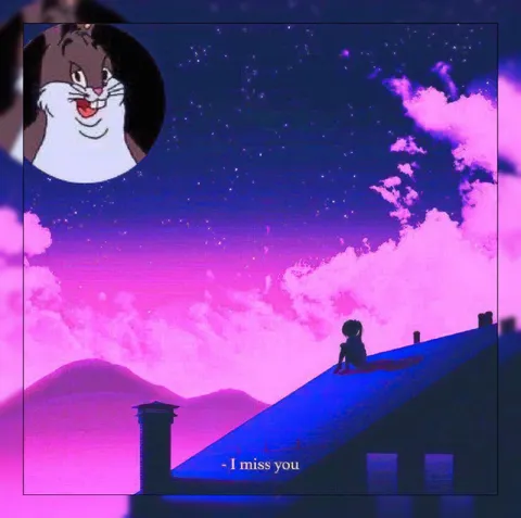 I Miss You Cat Meme