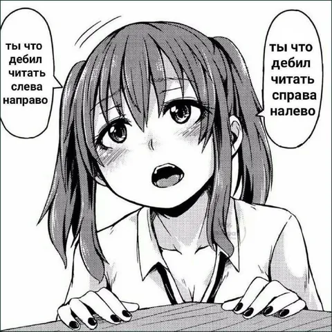 Ты что, дебил, читать слева направо