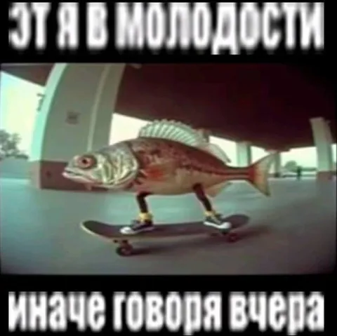 Рыба на скейтборде