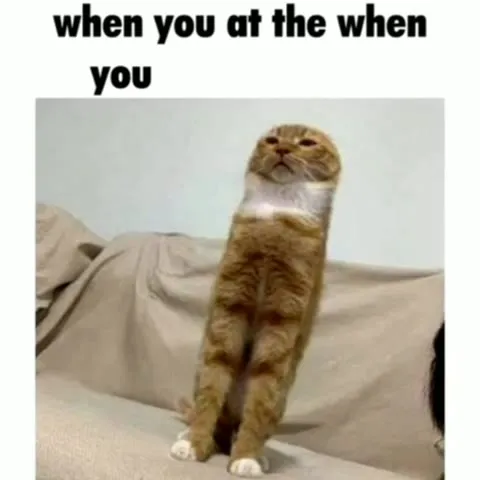 When You At The When