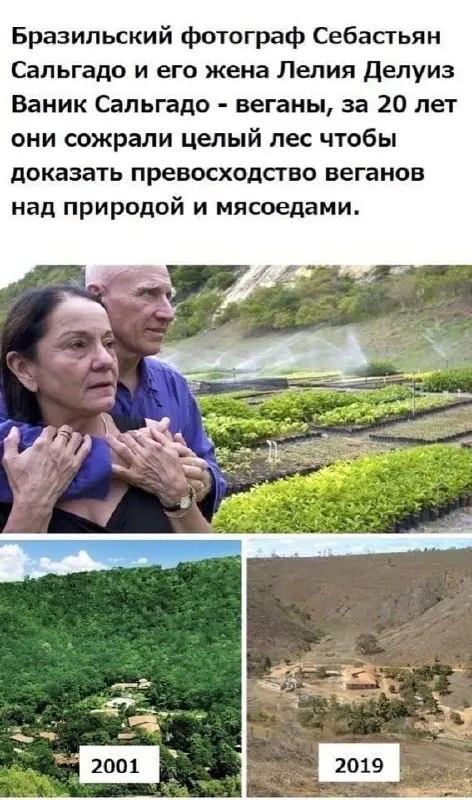 Веганы сожрали целый лес