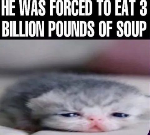 Cat Forced to Eat Soup