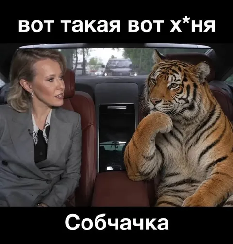 Вот такая вот х*ня с тигром