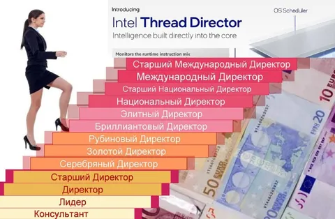 Лестница директорских должностей