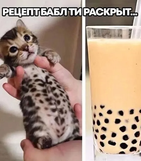 Рецепт бабл ти раскрыт