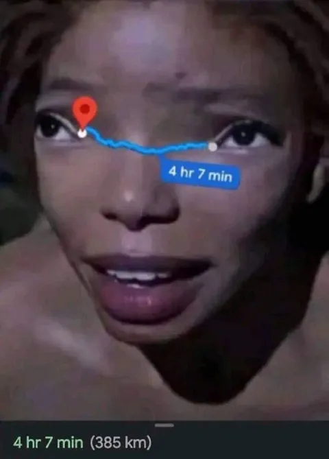 Four Hour Drive Reaction