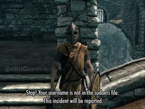 Skyrim Guard Username Check