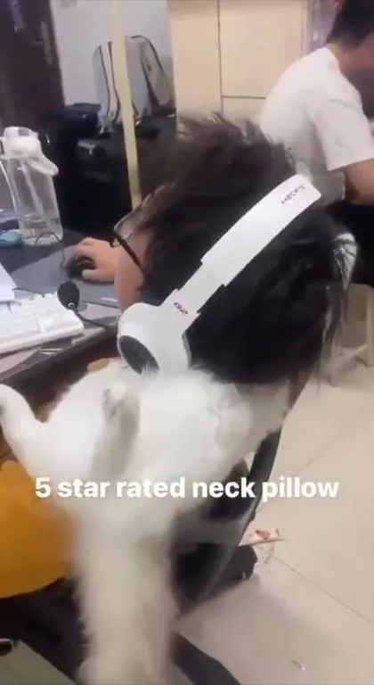 Five-Star Cat Neck Pillow