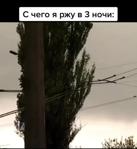 С чего я ржу в 3 ночи
