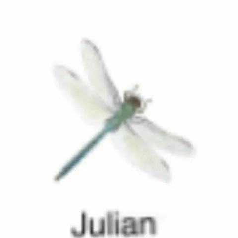 Julian the Dragonfly