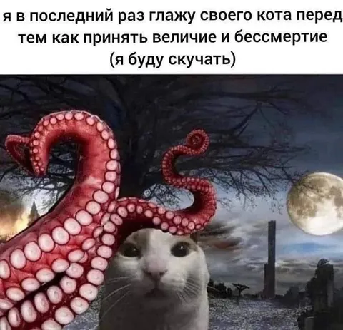 Кот перед величием и бессмертием