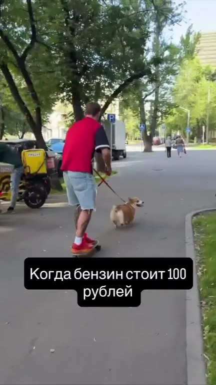 Когда бензин стоит 100 рублей