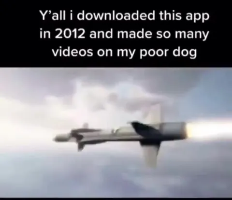 Vine Videos on My Poor Dog