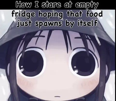 Staring at the Empty Fridge