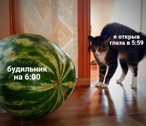 Проснулся на минуту раньше будильника