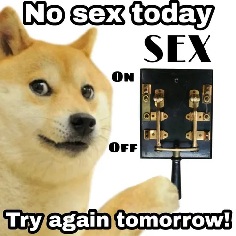 No Sex Today Doge