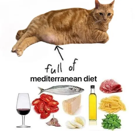 Cat Full of Mediterranean Diet