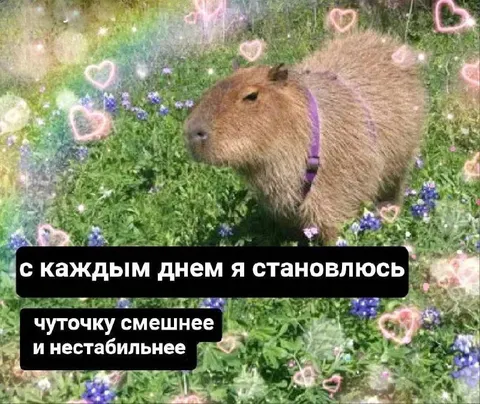 С каждым днём смешнее и нестабильнее