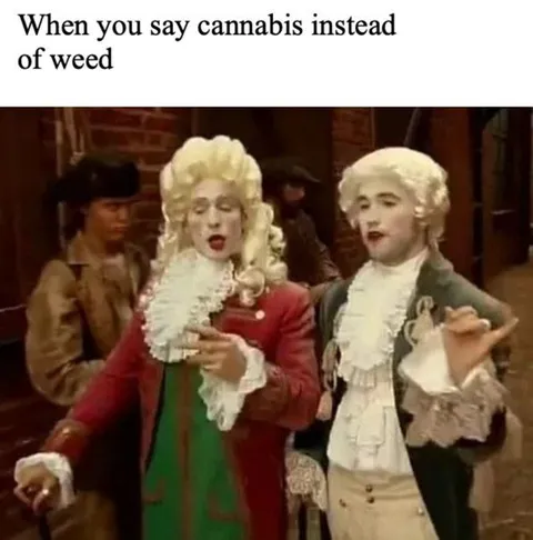 Cannabis Instead of Weed