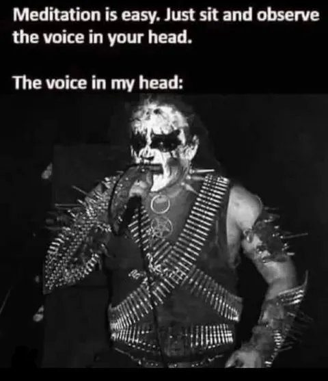 The Voice in My Head