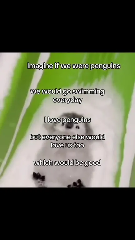 Imagine If We Were Penguins