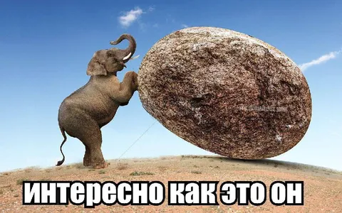 Слон толкает огромный камень