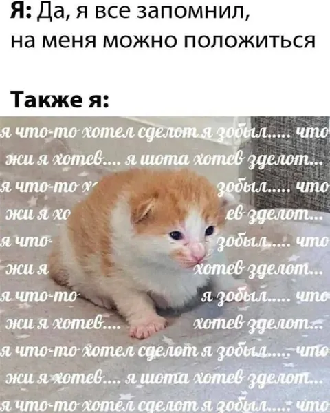 Я всё запомнил, но забыл