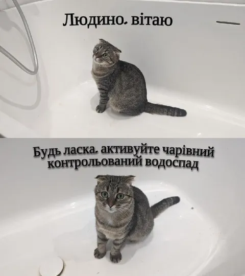 Кіт активує чарівний водоспад