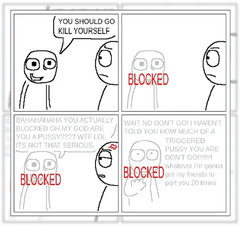 Blocked After Insulting Someone