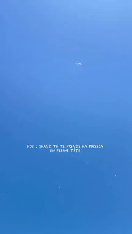 Poisson en pleine tête