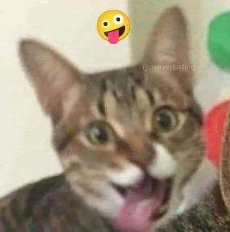 Кот с высунутым языком