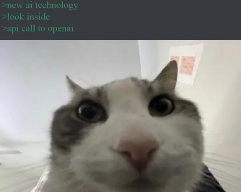 Cat Looks Into OpenAI API