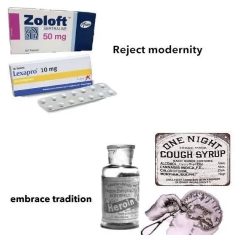 Reject Modernity Embrace Tradition